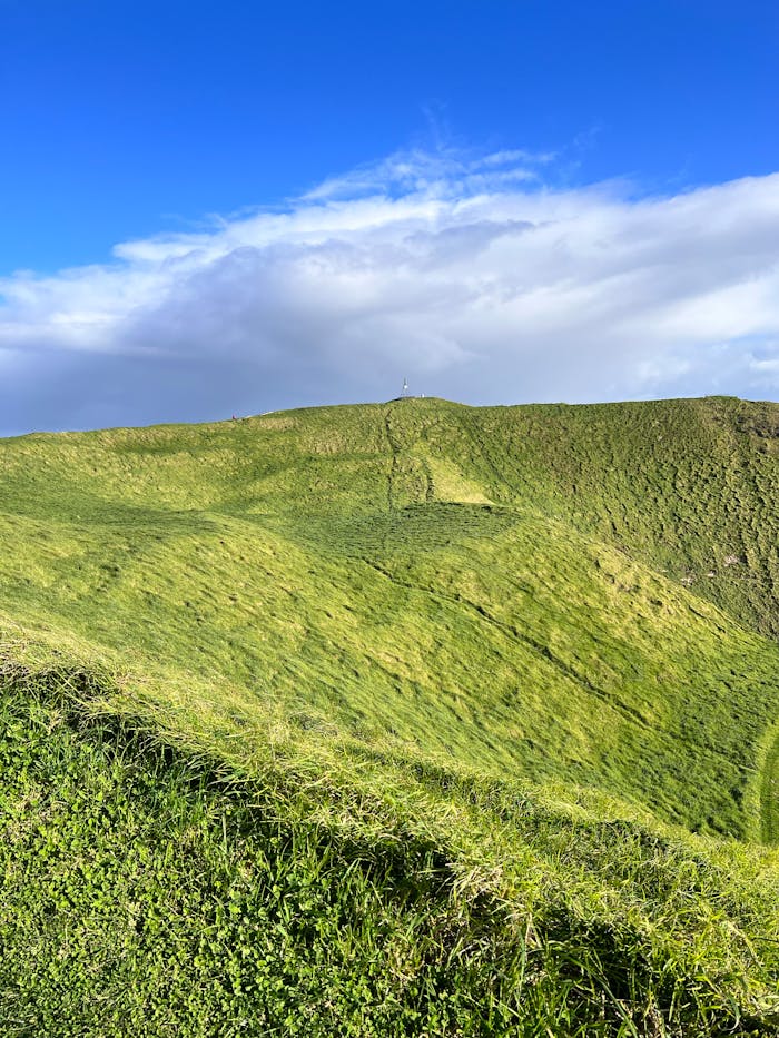 Free stock photo of green grass, vast land, vast landscape